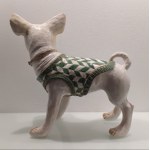 Studio IDA - Chihuahua