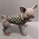 Studio IDA - Chihuahua