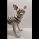 Studio IDA - Chihuahua