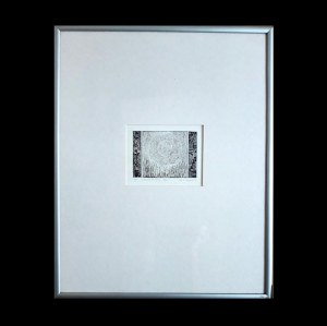 fotografia - Marek Gajewski - Jak