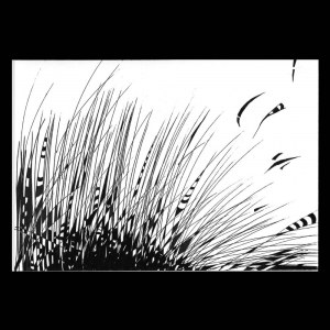 Joanna Turkiewicz-Dąbrowska - Will it rain?