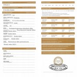 DIAMENT NATURALNY 0.24 CT WYSOKA CZYSTOŚĆ Vs1 WYCENA BRUTTO: OK. 10 000 ZŁ