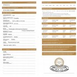 DIAMENT NATURALNY 0.15 CT Si1 WYCENA:1070$USD