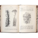 Casan A., GUIDE DE LA PEINTURE DES ACQUARIES, 1890 [Руководство к рисованию акварелью].