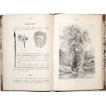 Casan A., GUIDE DE LA PEINTURE DES ACQUARIES, 1890 [Руководство к рисованию акварелью].