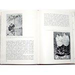 Sobeski M., EXOTIC ART [parfait état, nombreuses illustrations].