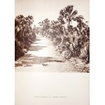 Lepecki M., MADAGASCAR : KRAJ, LUDZIE, KOLONIZACJA, 1938