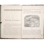 Kramsztyk S., PHYSICS WITHOUT INSTRUMENTS : FIRST PRINCIPLES OF PHYSICS IN SIMPLE EXPERIMENTS FOR CHILDREN AND YOUNG PEOPLE, 1893.