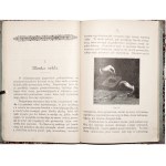 Kramsztyk S., PHYSICS WITHOUT INSTRUMENTS : FIRST PRINCIPLES OF PHYSICS IN SIMPLE EXPERIMENTS FOR CHILDREN AND YOUNG PEOPLE, 1893.
