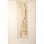 Ossowski G., JASKINIE OKOLIC KRAKOWA, 1881 [carte Ojców, illustrée] DRUGIE SPRAPORTANIE Z B badań GEOLOGICZNO-ANTROPOLOGICZNYCH W JASKINIACH OKOLIC KRAKOWA, DOKONANYCH W roku 1880