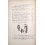 Ossowski G., JASKINIE OKOLIC OJCOWA, 1886 SPRAWOZDANIE Z BADAŃ PALEO-ETNOLOGICZNYCH W JASKINIACH OKOLIC OJCOWA DOKONANYCH W R. 1885, 1886