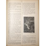 CHASSEUR POLONAIS, 1933 [MILLÉSIME].