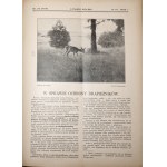 CHASSEUR POLONAIS, 1933 [MILLÉSIME].