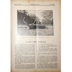 CHASSEUR POLONAIS, 1933 [MILLÉSIME].