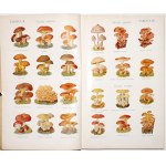 LIVRE DE CUISINE D-RA OETKER, 1937