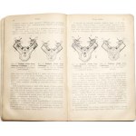 Szydelski S., NOWOCZESNY MOTOCYKL : PODRĘCZNIK DLA MOTOCYKLISTÓW, 1928