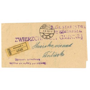 List polecony urzedowy, Przemyśl 1913 (604)
