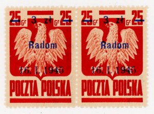 Liberation of 10 cities, 1945 - Radom. A pair of stamps with an error on the stamp on the stamp on the left (981)
