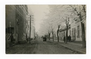 Yaroslavl - street, frosted trees (121)
