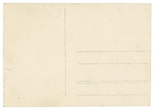 Sierpc - General view (158)