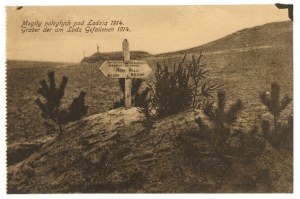 Surroundings of Lodz - Graves of the fallen (181)