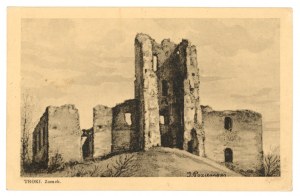 Trakai Castle (187)