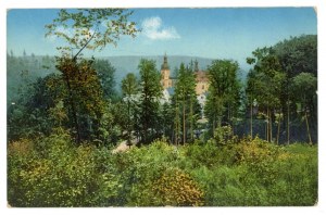 Czerna - View of the monastery of the Carmelite Fathers (from the north) (251)