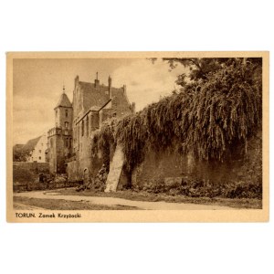 Toruń - Zamek Krzyżacki (286)