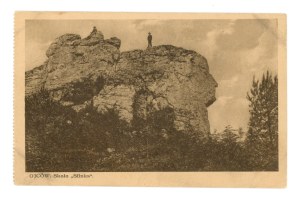 Ojcow - Sphinx rock (383)