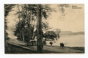 Szczecin / Stettin - milk cart on the road (393)