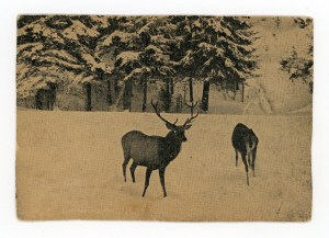 Lodz - Municipal Natural History Museum (397)