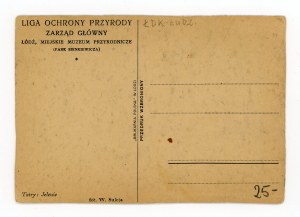 Lodz - Municipal Natural History Museum (397)