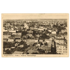 Bydgoszcz - View from Dabrowski Hill (523)
