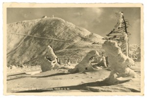 Giant Mountains - Sněžka, 1605 meters above sea level (531)