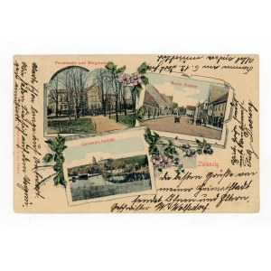 Sulęcin / Zielenzig - promenada, ogólny widok, 1908 (482)