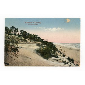 Krynica Morska / Kahlberg - wydmy (494)