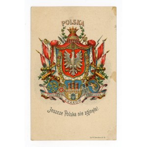 Pocztówka patriotyczna - Jeszcze Polska nie zginęła! (617)