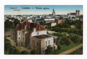 Leszno - general view (675)