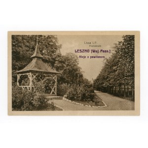 Leszno - aleje z pawilonem (681)