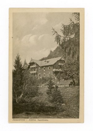Zegiestow-Zdroj - Spa House 