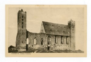 Radzyn Pomorski - castle ruins (760)