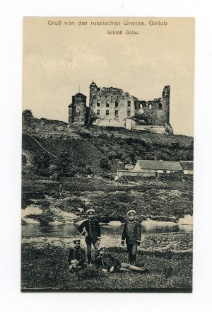 Golub-Dobrzyn - Castle ruins (761)