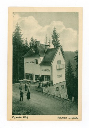 Zegiestow-Zdroj - boarding house 