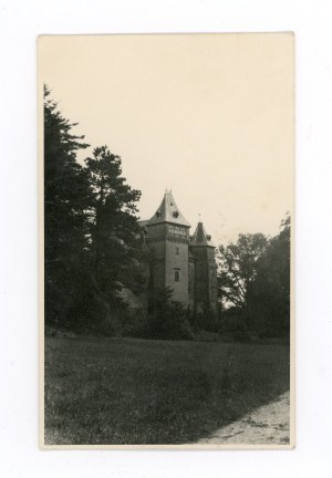 Gołuchów - Czartoryski castle (791)