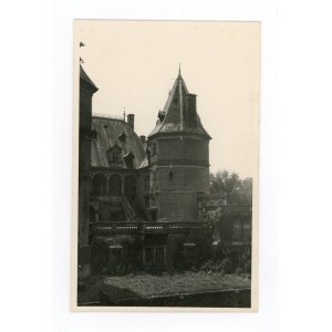 Gołuchów - zamek Czartoryskich (792)
