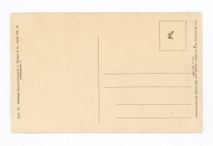 Swinoujscie / Swinemunde - Frederick Street (794)
