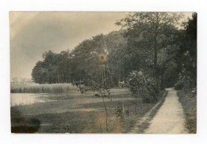 Rogozno - park (803)
