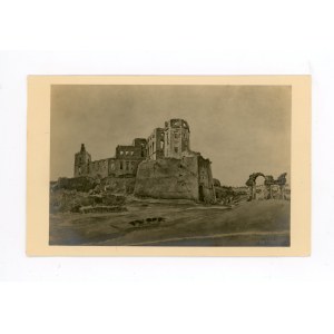 Ujazd - castle ruins (821)