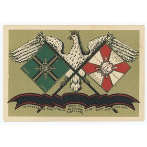 Pocztówka patriotyczna - II RP. Związek B. Ochotników Armii Polskiej. Grodno (1173)