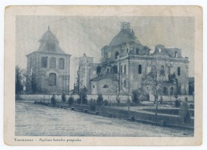 Trzemeszno - Burnt Poop Cathedral (1181)